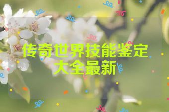 传奇世界技能鉴定大全最新