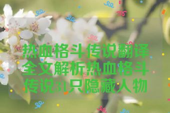 热血格斗传说翻译全文解析热血格斗传说31只隐藏人物