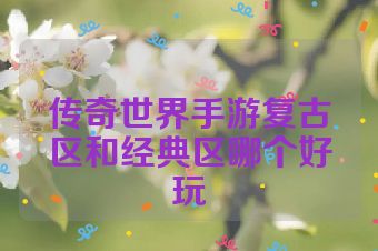 传奇世界手游复古区和经典区哪个好玩
