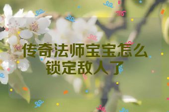 传奇法师宝宝怎么锁定敌人了
