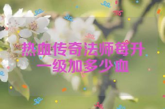 热血传奇法师每升一级加多少血