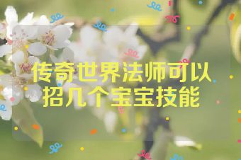 传奇世界法师可以招几个宝宝技能
