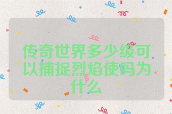 传奇世界多少级可以捕捉烈焰使吗为什么