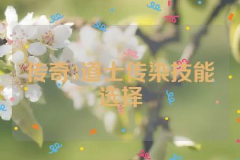 传奇3道士传染技能选择