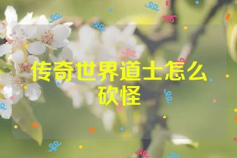 传奇世界道士怎么砍怪