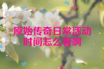 原始传奇日常活动时间怎么看啊