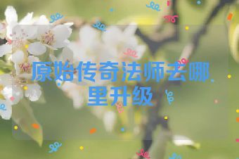 原始传奇法师去哪里升级