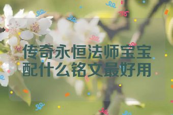 传奇永恒法师宝宝配什么铭文最好用