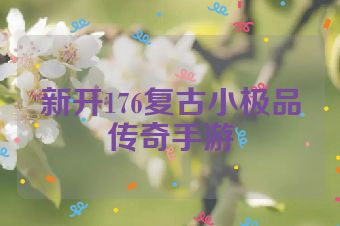 新开176复古小极品传奇手游