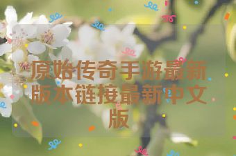 原始传奇手游最新版本链接最新中文版