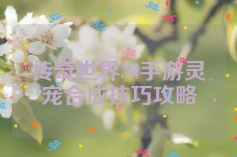 传奇世界3d手游灵宠合成技巧攻略