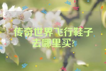 传奇世界飞行鞋子去哪里买?