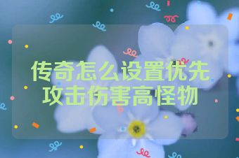 传奇怎么设置优先攻击伤害高怪物