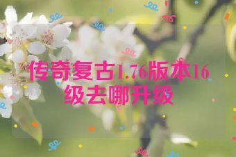 传奇复古1.76版本16级去哪升级