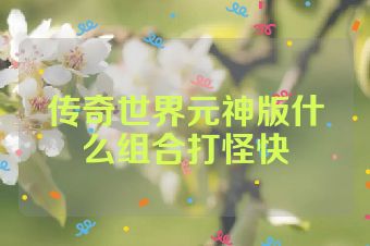 传奇世界元神版什么组合打怪快