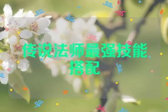 传说法师最强技能搭配