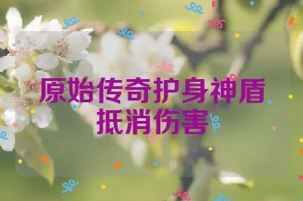原始传奇护身神盾抵消伤害
