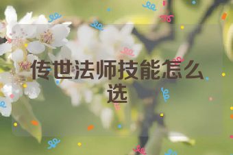 传世法师技能怎么选