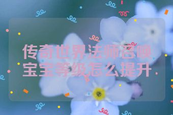 传奇世界法师召唤宝宝等级怎么提升