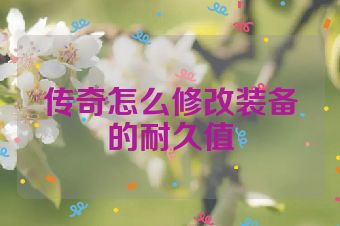 传奇怎么修改装备的耐久值
