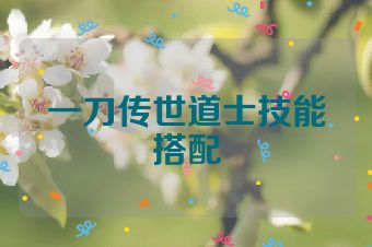 一刀传世道士技能搭配