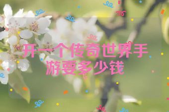 开一个传奇世界手游要多少钱