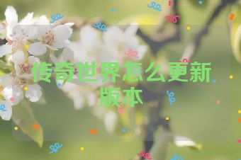 传奇世界怎么更新版本