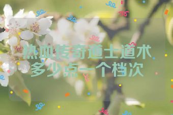 热血传奇道士道术多少点一个档次