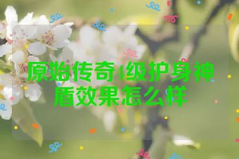 原始传奇4级护身神盾效果怎么样