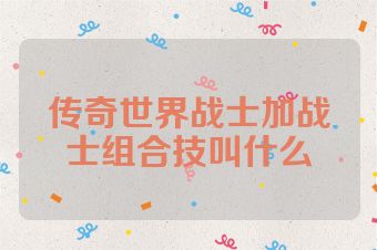 传奇世界战士加战士组合技叫什么