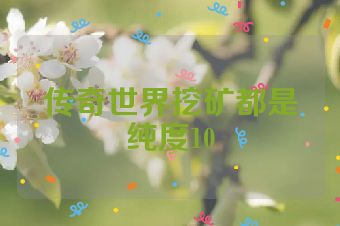 传奇世界挖矿都是纯度10