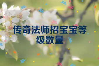 传奇法师招宝宝等级数量