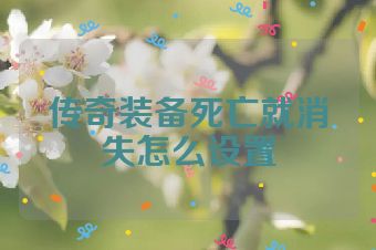 传奇装备死亡就消失怎么设置