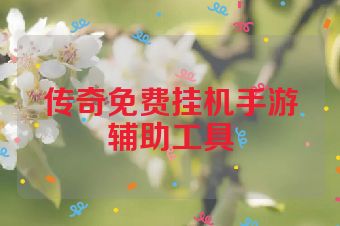传奇免费挂机手游辅助工具