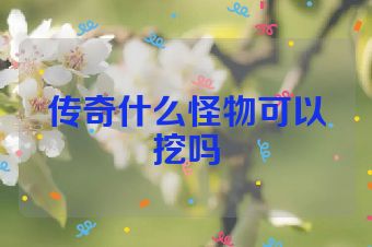 传奇什么怪物可以挖吗