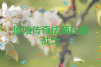 原始传奇法师还是战士