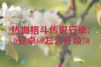 热血格斗传说安卓7.0安卓60怎么升级70
