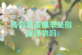 传奇装备爆率是指定怪物吗