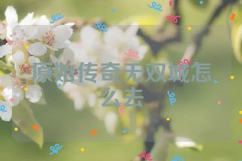 原始传奇无双城怎么去