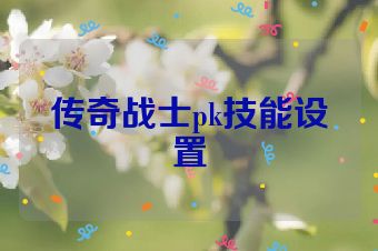 传奇战士pk技能设置