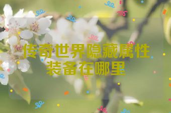 传奇世界隐藏属性装备在哪里