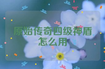 原始传奇四级神盾怎么用