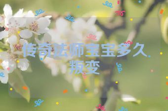 传奇法师宝宝多久叛变