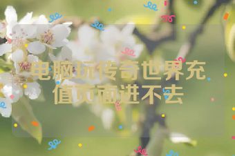 电脑玩传奇世界充值页面进不去