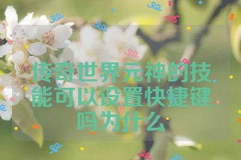传奇世界元神的技能可以设置快捷键吗为什么