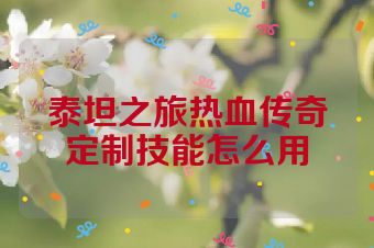 泰坦之旅热血传奇定制技能怎么用