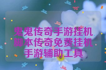 鬼鬼传奇手游挂机脚本传奇免费挂机手游辅助工具