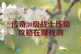 传奇30级战士练级攻略在哪找啊