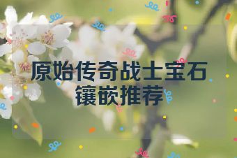 原始传奇战士宝石镶嵌推荐