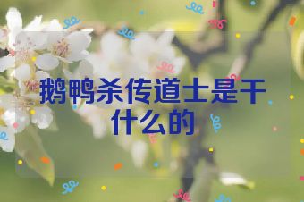 鹅鸭杀传道士是干什么的